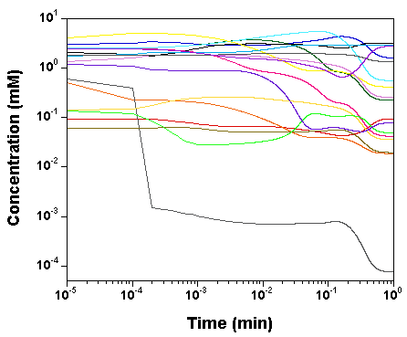 Yeast  model computation by GNU MCSim